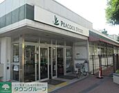 ピーコックストア大島店 徒歩7分。スーパー 540m