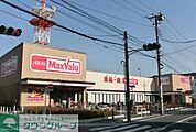マックスバリュ 徒歩11分。スーパー 810m