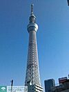 スカイツリー 800m