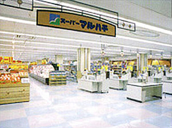画像24:【スーパー】スーパーマルハチ 明石店まで619ｍ