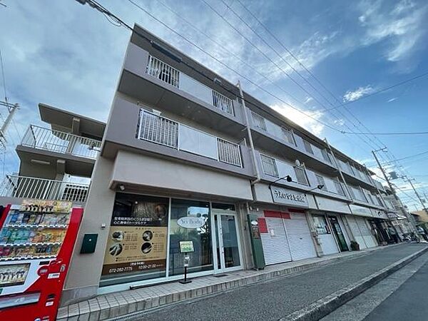 大阪府堺市堺区中三国ヶ丘町５丁(賃貸マンション2DK・3階・44.00㎡)の写真 その1