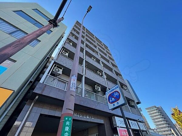 大阪府堺市堺区向陵中町２丁(賃貸マンション1K・3階・25.74㎡)の写真 その1