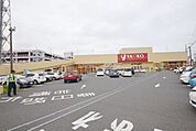 ヤオコー大宮蓮沼店 1017m