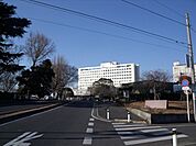 千葉大学病院 378m