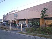 ワイズマートディスカ飯山満店 徒歩8分。スーパー 590m