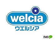 ドラッグストア 「ウエルシア和歌山有本店まで305m」