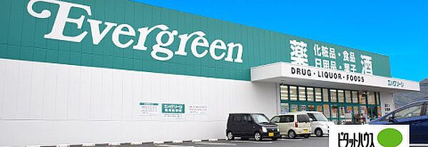 画像27:ドラッグストア 「エバグリーン有田店まで1210m」