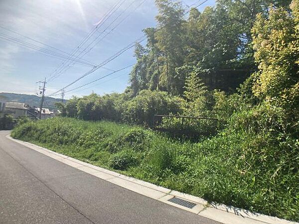 を拡大表示