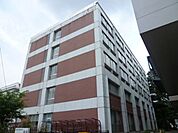 東京慈恵会医科大学附属第三病院 336m