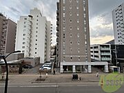眺望です。建物はありますが風通しは良さそうです。