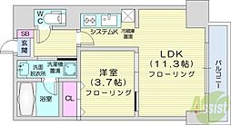プライムアーバン大通東 1LDKの間取図画像