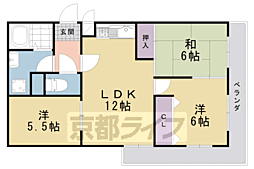 カレント桂 5階/-