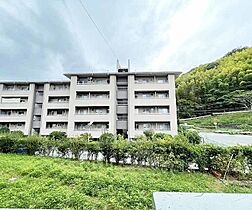 南円明寺ヶ丘団地16棟  ｜ 京都府乙訓郡大山崎町円明寺西法寺（賃貸マンション3LDK・1階・71.00㎡） その29
