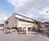 ケーヨーＤ2まで2075m 暮らしに役立つ品々が揃ってます。