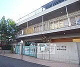 山科幼稚園まで218m
