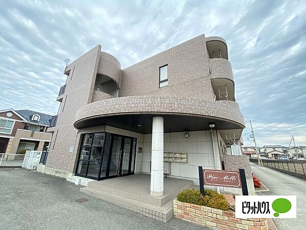 ピーノ・モルティ 105｜和歌山県和歌山市有家(賃貸マンション3LDK・1階・62.56㎡)の写真 その1