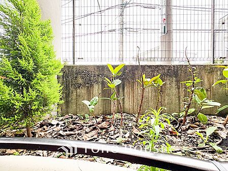 忙しく過ぎゆく日常を置き去るほど、ゆったりした時間が流れる住環境。