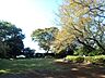 周辺：公園の中には修繕が終わったばかりのログハウスもあります。木のぬくもりを感じながら思いっきり遊べます。