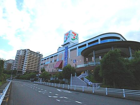 全国チェーンの大型スーパー。近隣の住人で賑わうお店となっています。充実のプライベートブランドも。