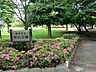 周辺：早咲きの河津桜、ソメイヨシノの両方が楽しめる公園です。