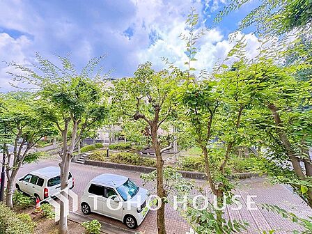 木々の緑がまぶしい、豊かな緑と静寂。ずっと見ていたいと思わせてくれる景色。