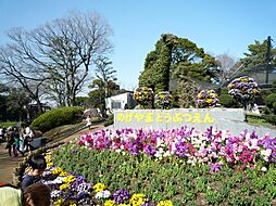 周辺施設の画像