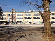 杉並区立桃井第四小学校まで（550m）