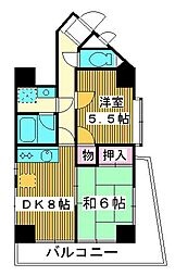 パールモア新井堂 8階/806
