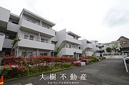 ペット飼育　カームヒルズ座間　1階3LDKリフォーム済み
