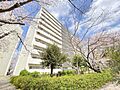 間口が広く陽当...