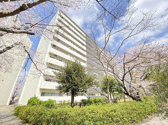 間口が広く陽当...