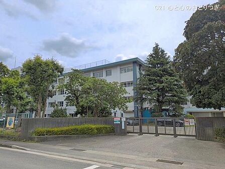 海老名市立中新田小学校　513ｍ