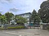 周辺：海老名市立中新田小学校　1200ｍ