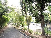 代官中央公園　300ｍ