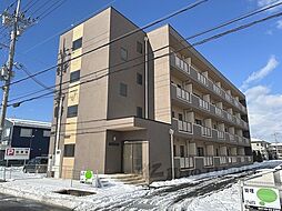 近江鉄道近江本線 彦根口駅 徒歩30分の賃貸マンション