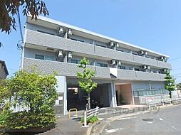 レックス草津 303