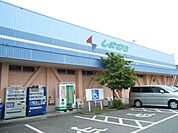 スーパー「しまむらストアーまで560m」