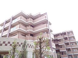 🉐敷金礼金0円！🉐阪和線 信太山駅 徒歩7分