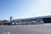 コメリ　ハード&グリーン津屋崎店