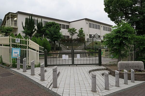 画像16:神戸市立こうべ小学校