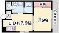 SUN志里池1階5.9万円