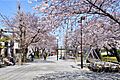 【公園】宮前公...