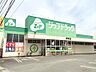 周辺：Zipファーマシー白沢薬局尾頭橋店（961m）