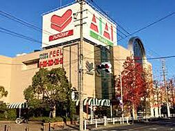 ルヴィータ野田