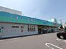周辺：ドラッグスギヤマ 中島新町店（700m）