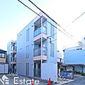 アムール青柳