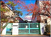 茨木市立三島小学校 344m