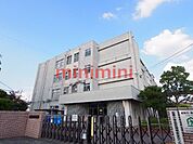 高槻市立如是小学校 524m