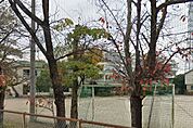 周辺環境-小学校(750m)東小学校