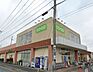 周辺：周辺環境-スーパー(730m)コープみらい今泉店